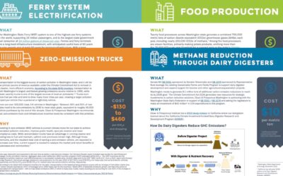 Smart Climate Investment Series